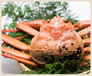 かに満喫プラン（ズワイガニ使用）